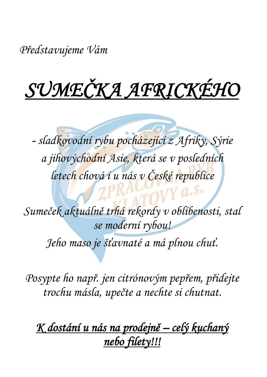 Nabídka sumečka afrického